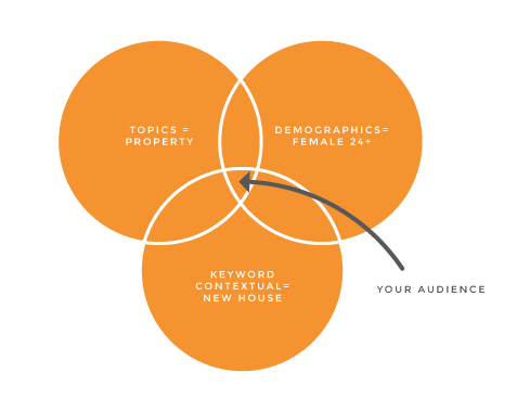 Example of a micro-targeted audience for display advertising