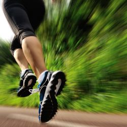 JJB Sports PPC case study