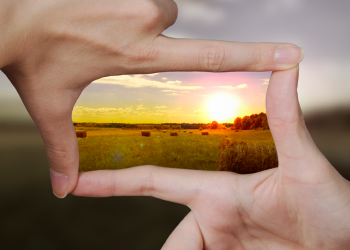 Optimising images for SEO