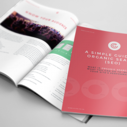 Simple Guide to Organic Search (SEO)