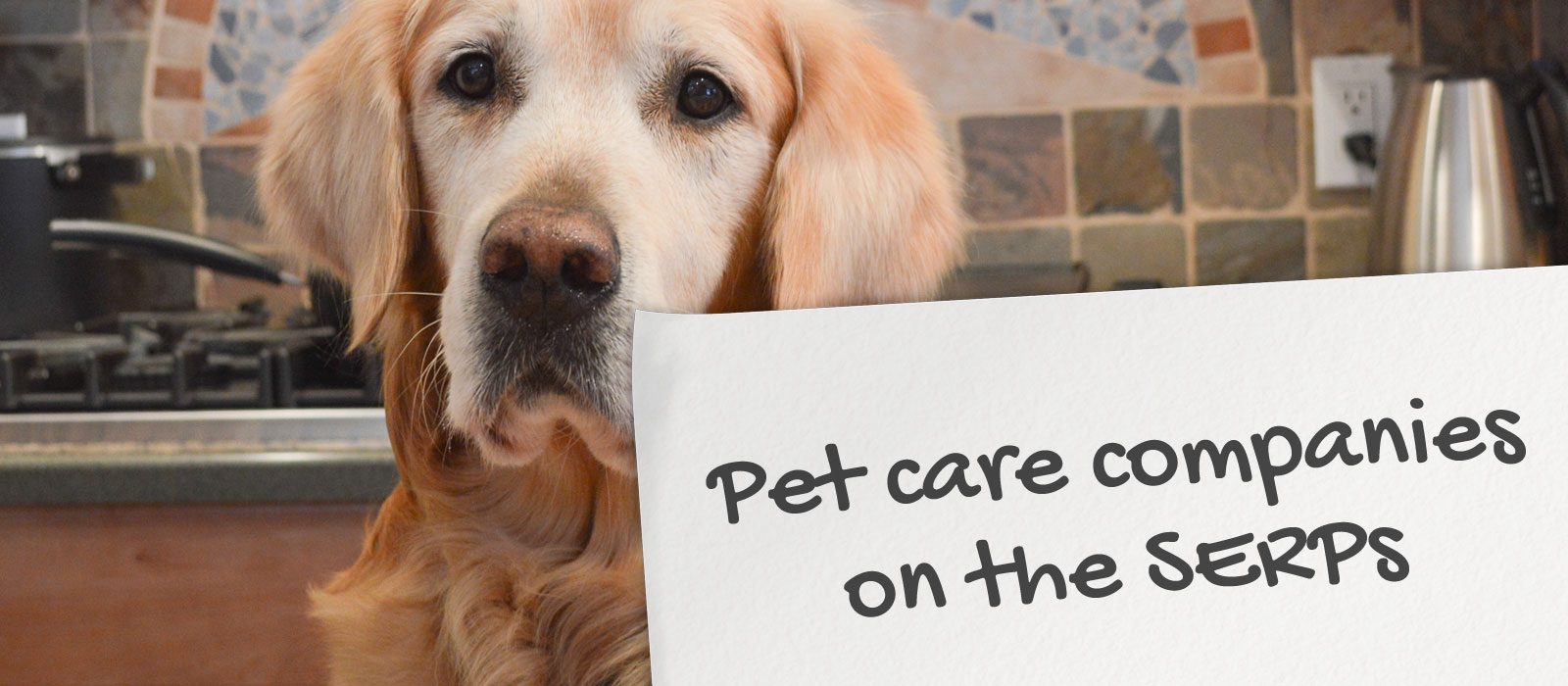 Pet-care-companies-on-the-SERPs