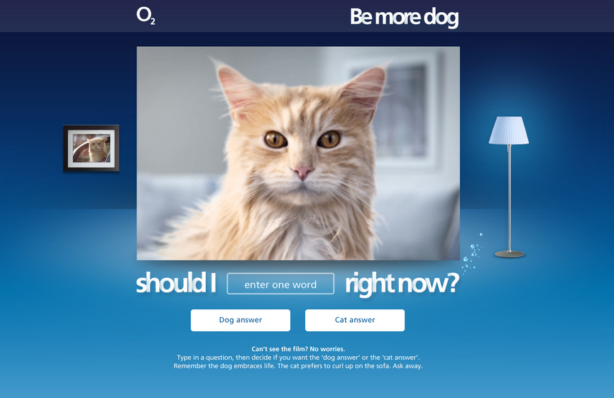 o2 be more dog