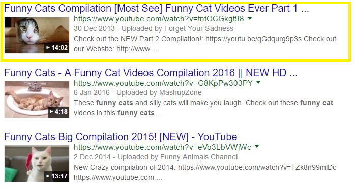 funny cats google results