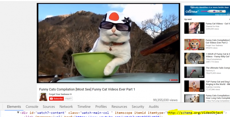 funny cats video schema markup