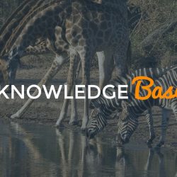 local SEO knowledge base