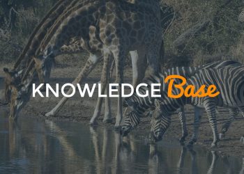 local SEO knowledge base