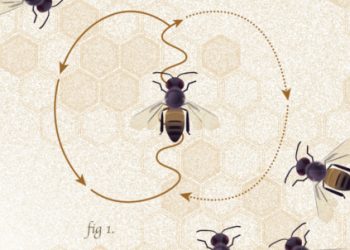 dancing-bees-header