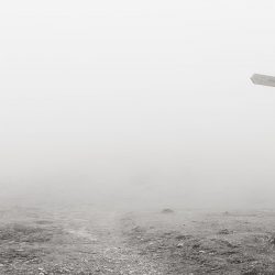 how-disruptive-technologies-are-changing-search-marketing