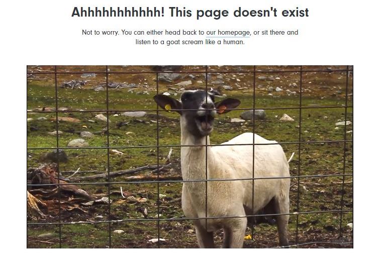 screaming goat 404