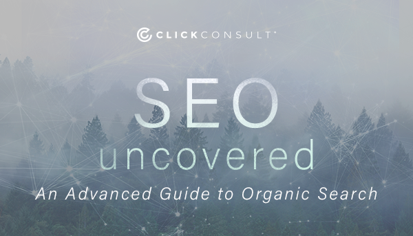 SEO Uncovered ebook download