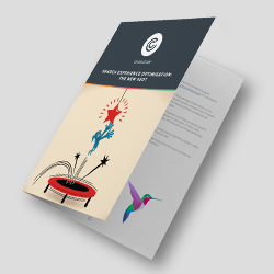 search experience optimisation