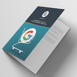 A-beginner's-guide-to-Google-shopping-Campaigns-250x250