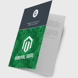 Magento-Migration-Survival-Guide-Top-level-eBook-landing-page-image