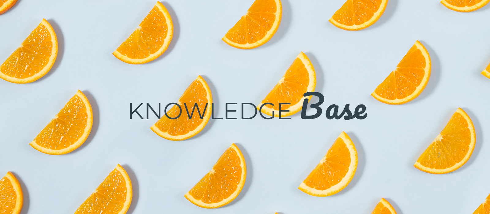 knowledge-base google freshness update