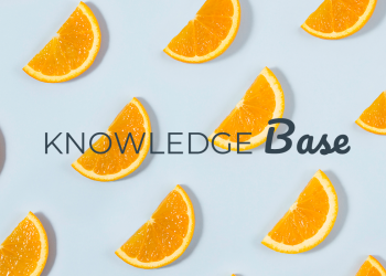 knowledge-base google freshness update
