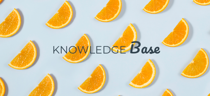 knowledge-base google freshness update