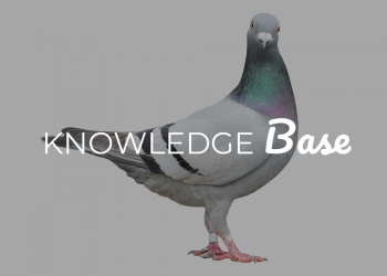 knowledge-base-Roonie-and-Vardy
