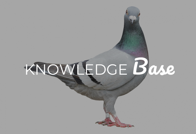 knowledge-base-Roonie-and-Vardy