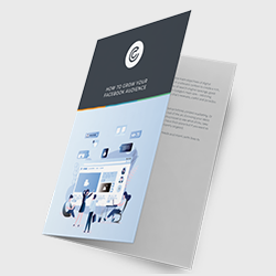 How-to-grow-your-Facebook-audience-Top-level-eBook-landing-page-image
