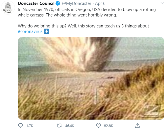 doncaster council whale story