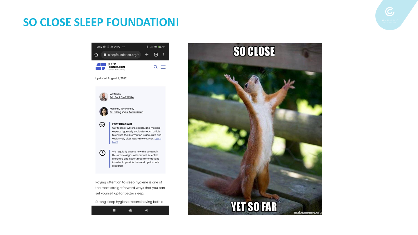 slide showing sleep foundation author panel and a meme of a despairing squirrel labelled so close yet so far