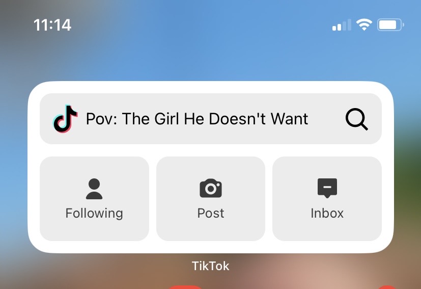 Image showing an example of the TikTok search engine widget on iPhone