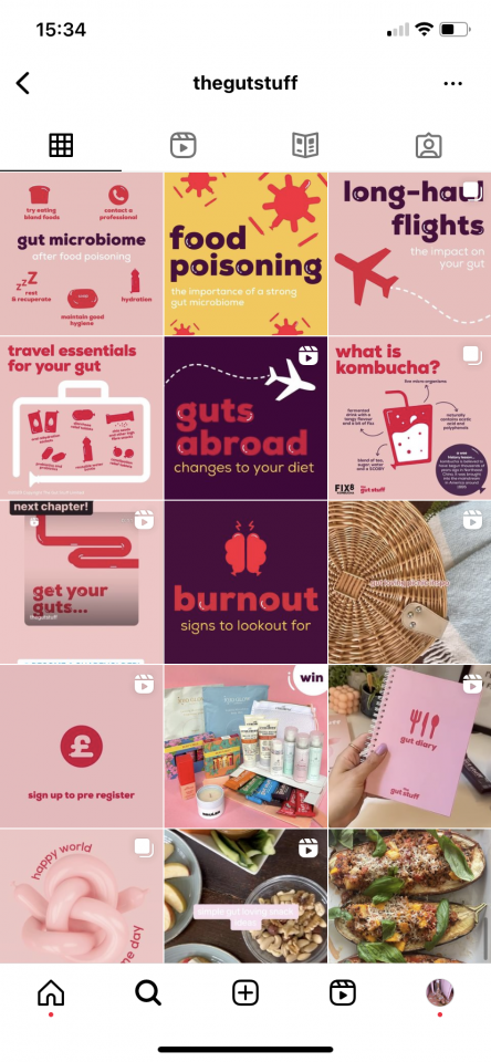 Screenshot showcasing @thegutstuff Instagram feed, as an example of influencer marketing in the health and wellness industry.